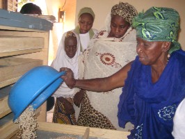 Production de farine wassa au Mali